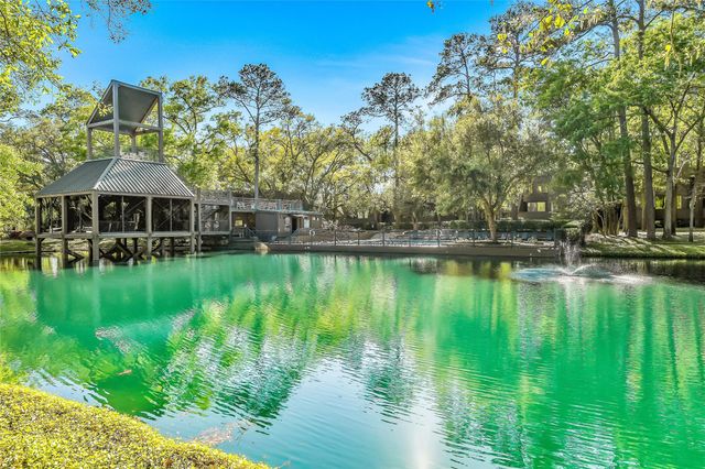 271 Litchfield Lane, Houston, TX 77024