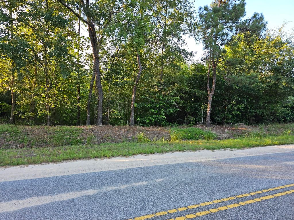 0 Borden Road, Rembert, SC 29128