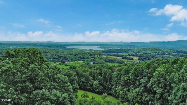 2425 Promise Lane, White Pine, TN 37890