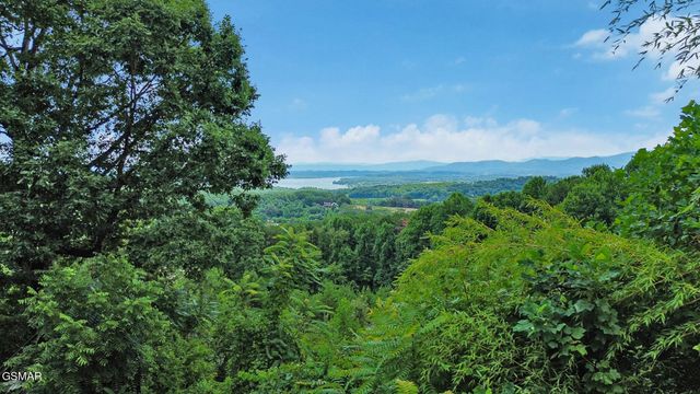 2425 Promise Lane, White Pine, TN 37890
