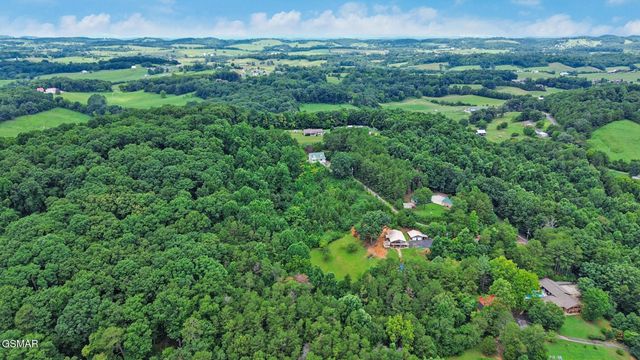 2425 Promise Lane, White Pine, TN 37890