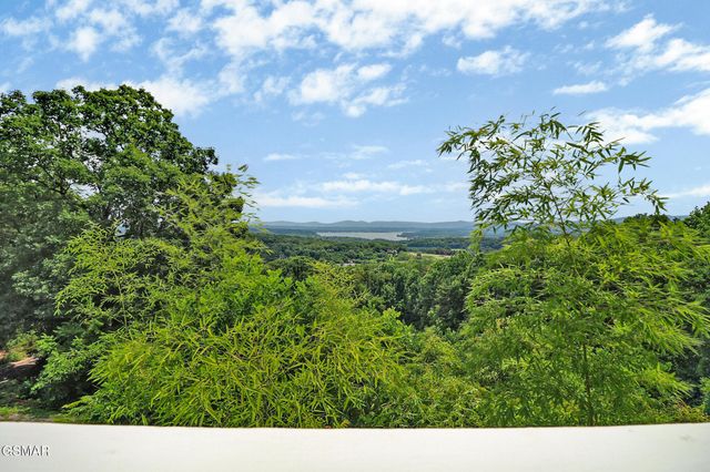 2425 Promise Lane, White Pine, TN 37890