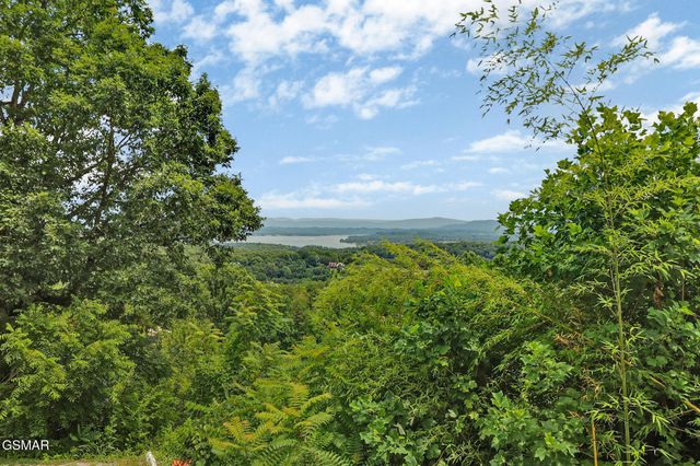 2425 Promise Lane, White Pine, TN 37890
