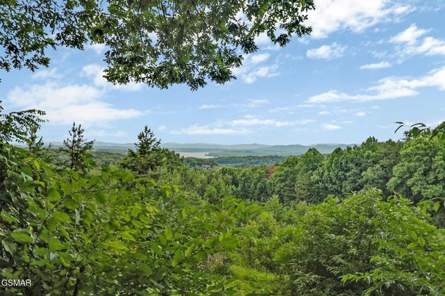 2425 Promise Lane, White Pine, TN 37890