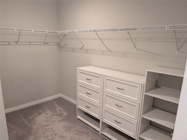 5320 LITTLE STREAM LANE, Wesley Chapel, FL 33545
