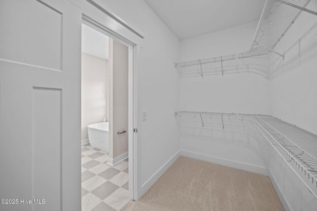 105 Lady O Drive B, Greenville, NC 27834