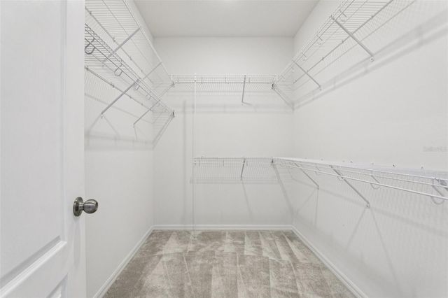 17195 HICKORY WIND DRIVE, Clermont, FL 34711