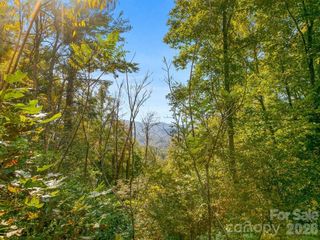 TBD Laurel Heights 35, Marshall, NC 28753