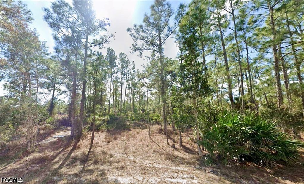 339 Mines ST, Lehigh Acres, FL 33972