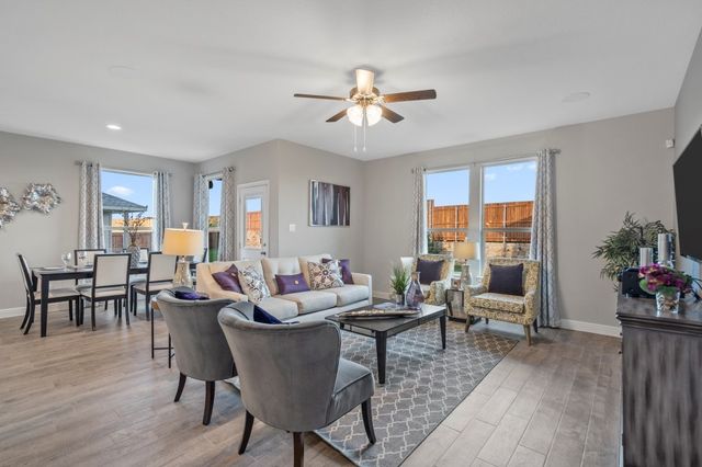 17140 MANZANILLA Drive, Justin, TX 76247