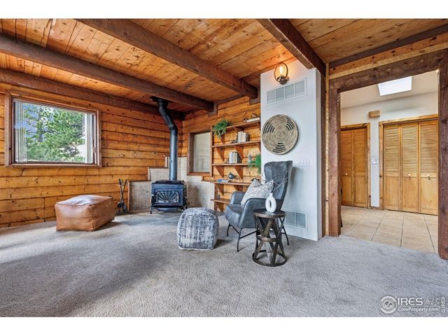 3907 Ridge Rd, Nederland, CO 80466