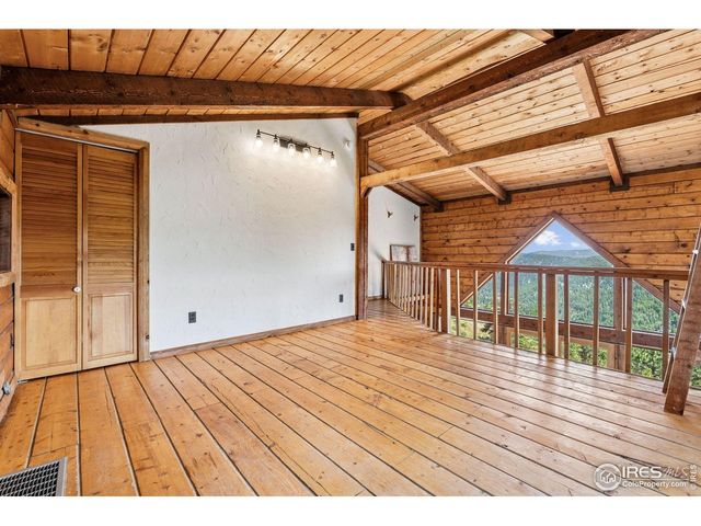 3907 Ridge Rd, Nederland, CO 80466