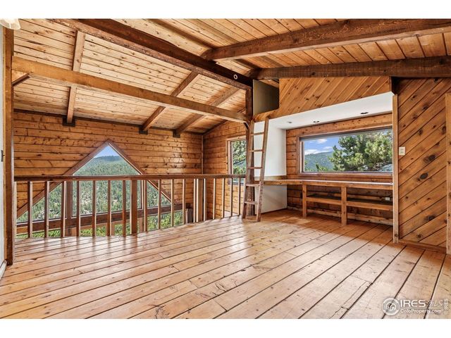 3907 Ridge Rd, Nederland, CO 80466