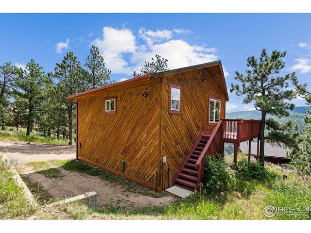 3907 Ridge Rd, Nederland, CO 80466