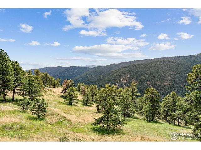 3907 Ridge Rd, Nederland, CO 80466
