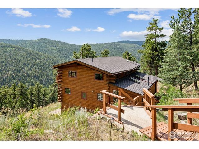 3907 Ridge Rd, Nederland, CO 80466