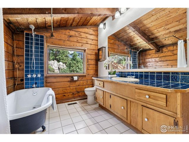 3907 Ridge Rd, Nederland, CO 80466