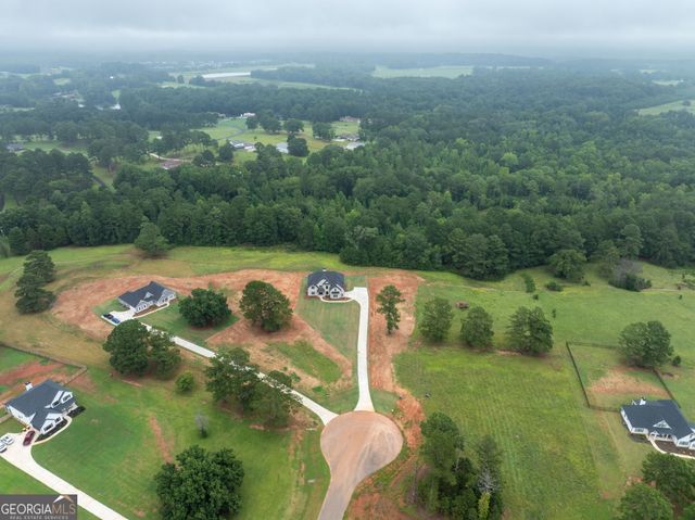 563 Lake Point Drive, Williamson, GA 30292