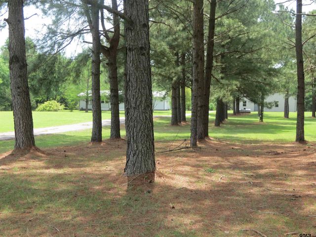 25988 CR 462, Mineola, TX 75773