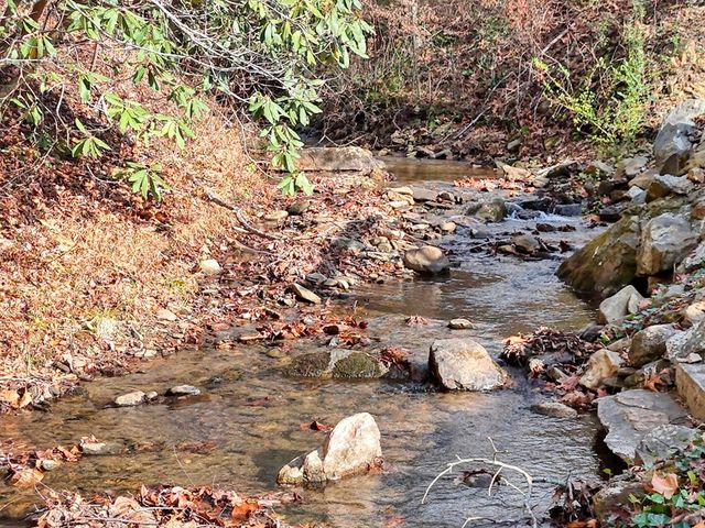 164 Bear Bend, Blairsville, GA 30512