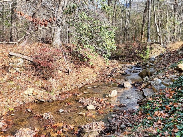 164 Bear Bend, Blairsville, GA 30512