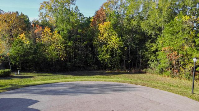 6302 Velvet Sky Court, Spring, TX 77386