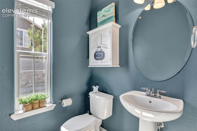 17099 Blue Mist Grove, Monument, CO 80132