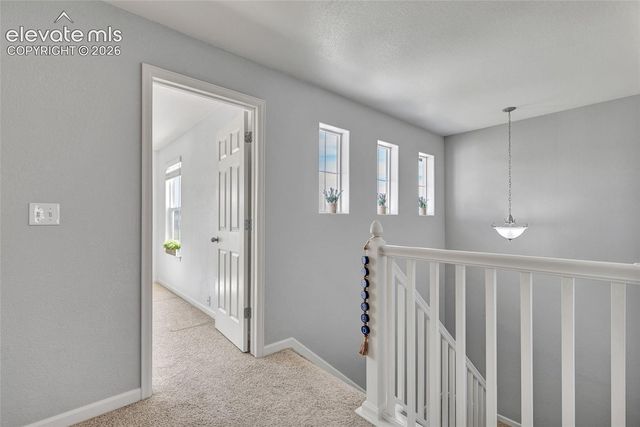 17099 Blue Mist Grove, Monument, CO 80132