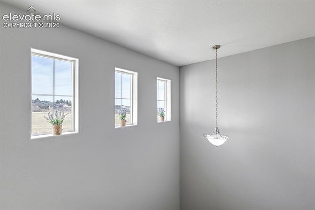 17099 Blue Mist Grove, Monument, CO 80132
