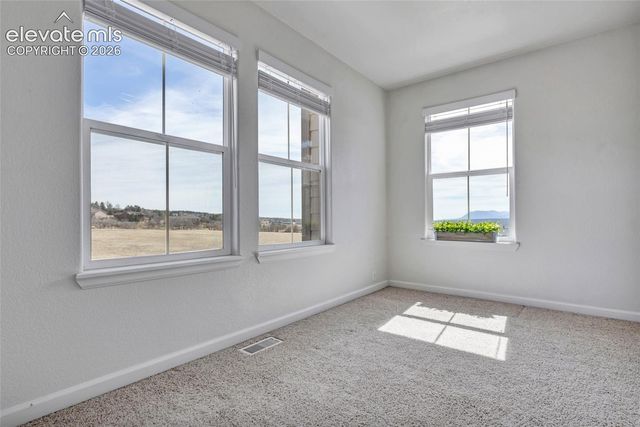 17099 Blue Mist Grove, Monument, CO 80132