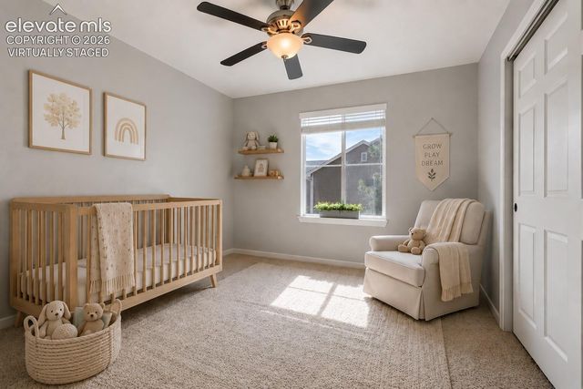 17099 Blue Mist Grove, Monument, CO 80132