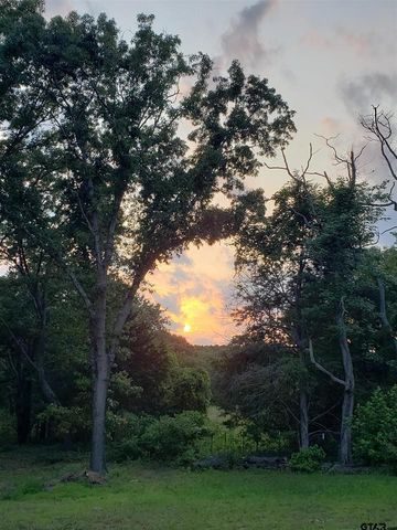 20039 C County Road 450, Lindale, TX 75771