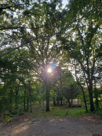 20039 C County Road 450, Lindale, TX 75771