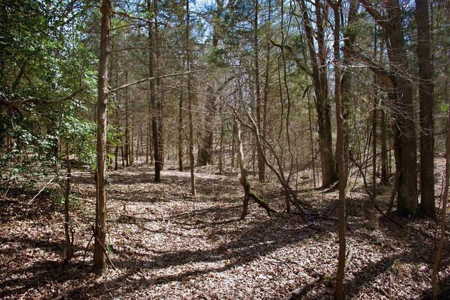 20039 C County Road 450, Lindale, TX 75771