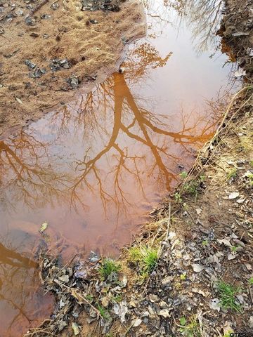 20039 C County Road 450, Lindale, TX 75771