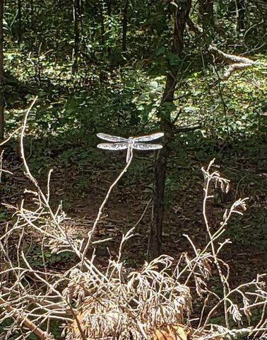 20039 C County Road 450, Lindale, TX 75771