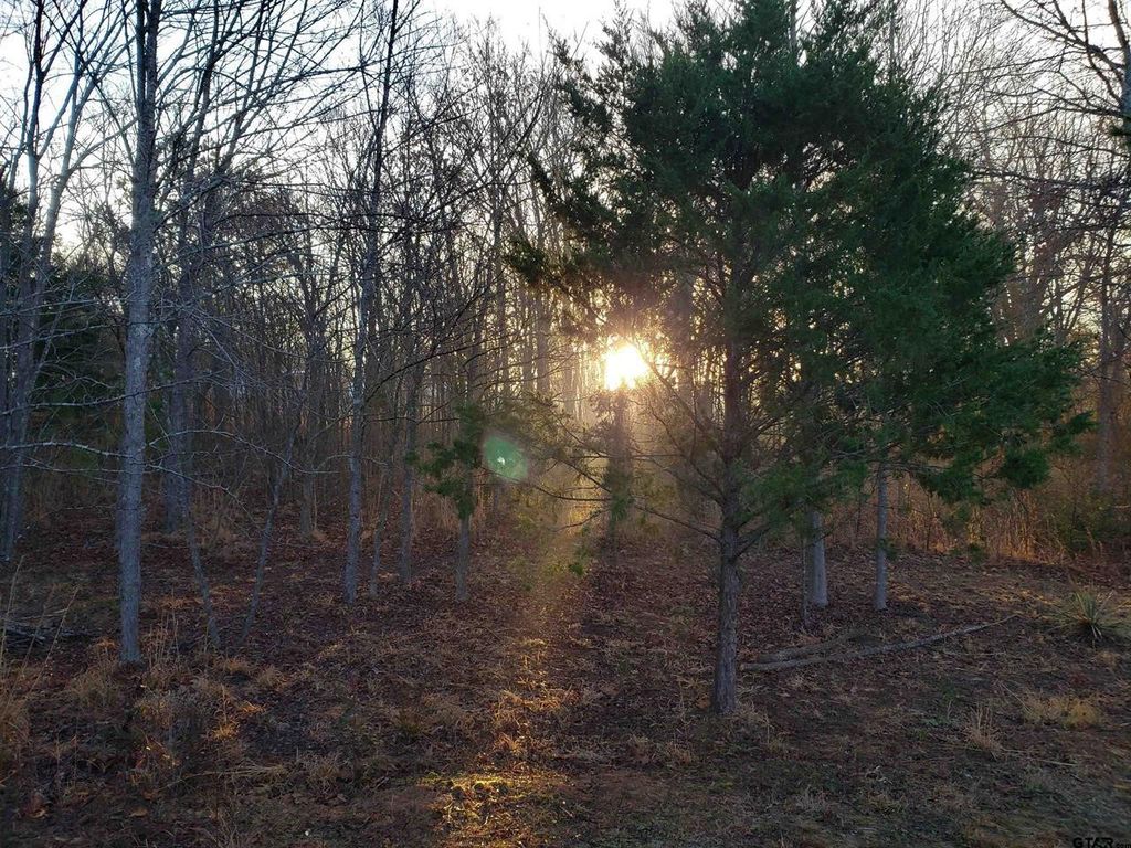 20039 C County Road 450, Lindale, TX 75771