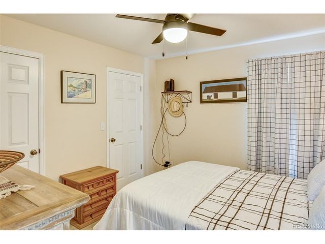 433 Chestnut St, Buena Vista, CO 81211