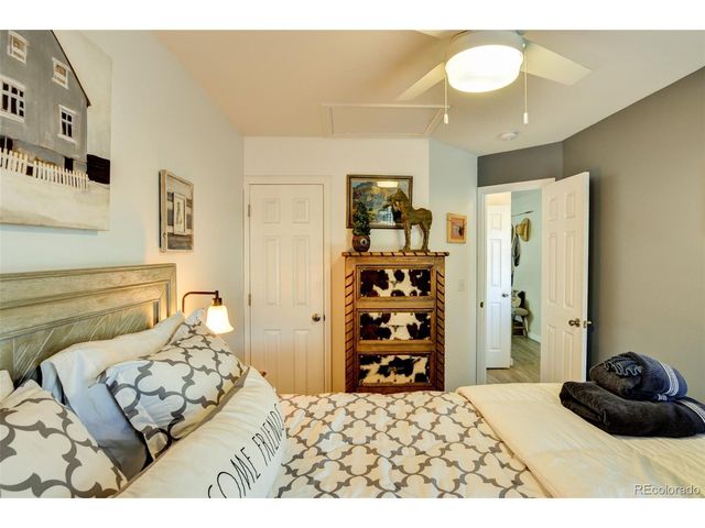 433 Chestnut St, Buena Vista, CO 81211