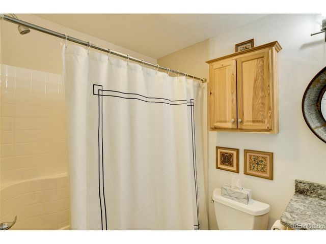 433 Chestnut St, Buena Vista, CO 81211