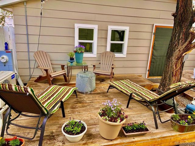 433 Chestnut St, Buena Vista, CO 81211