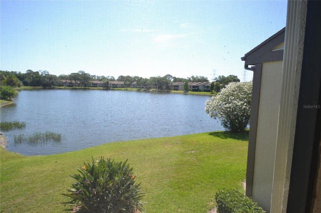336 WOODLAKE WYNDE, Oldsmar, FL 34677
