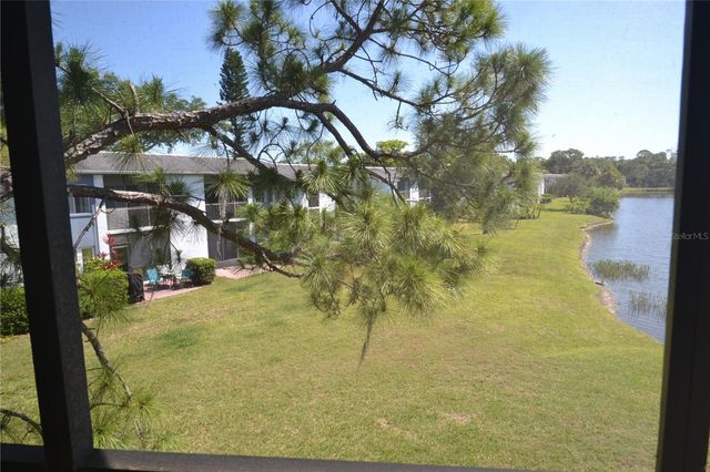 336 WOODLAKE WYNDE, Oldsmar, FL 34677