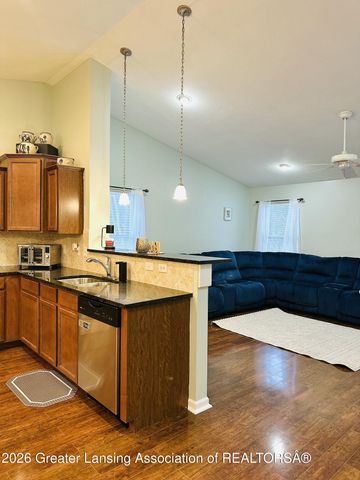 376 Spicetree Lane, Mason, MI 48854