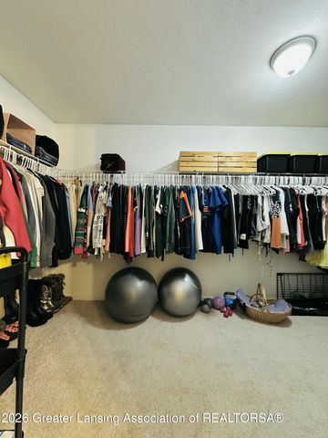 376 Spicetree Lane, Mason, MI 48854