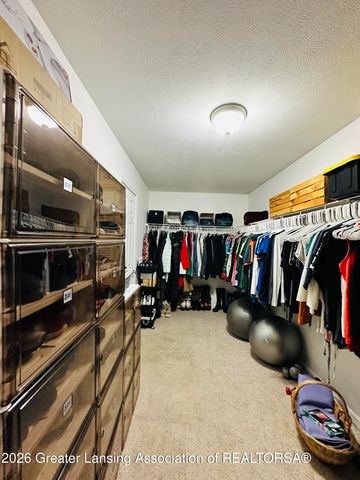 376 Spicetree Lane, Mason, MI 48854