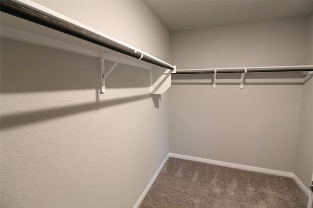 504 Dayspring CV, Georgetown, TX 78628