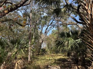 UNDETERMINED, Citra, FL 32113