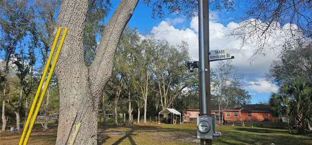 IMMOKALEE STREET, Intercession City, FL 33848