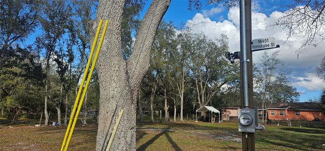 IMMOKALEE STREET, Intercession City, FL 33848